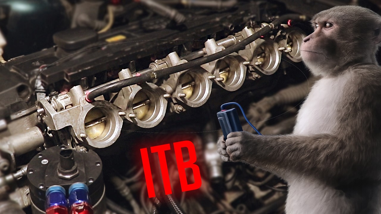 Building a RACE ENGINE for my E36 | Schrick 264/256 Cams + S50 ITB