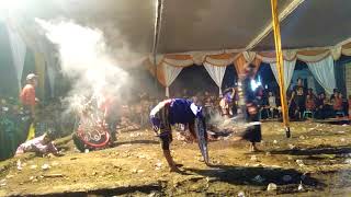 NDADINE CELENG CANTIK! Singo Sentono Mudo