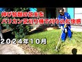芝生のお手入れが苦手な人は参考にしていただけたら幸いです