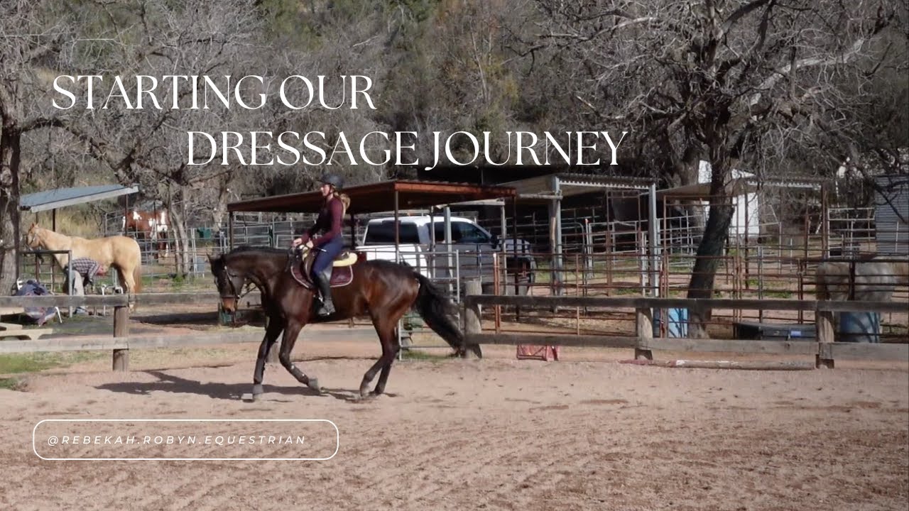 How I’m Schooling My OTTB | Dressage Training for a Young Ex-Racehorse
