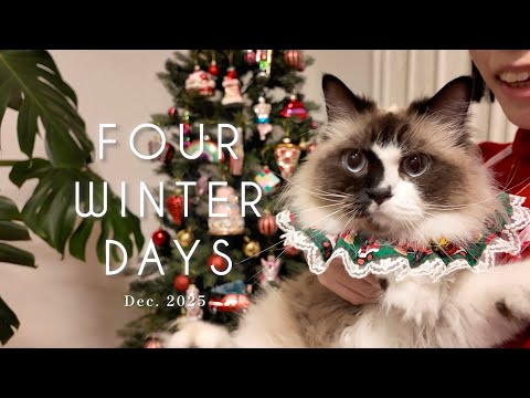 【Christmas Vlog 】猫と過ごす、冬の4日間 ✨｜愛猫の誕生日のお祝い🎂🐈