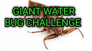 Survival Lunch Menu: Giant Water Bug Challenge