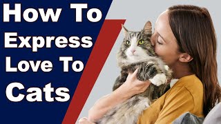 Best Ways To Tell A Cat You Love Them – How To Express Love To Cats by Pets and Animals 364 views 2 years ago 4 minutes, 59 seconds
