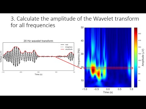 Filtering neural signals and processing oscillation amplitude