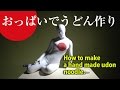 ???????~??~??????????????Cool Japai Washoku "How to make hand made Udon noodle."