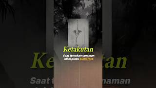 Misteri 1878: Mengapa Odoardo Beccari Ketakutan Saat Temukan Bunga Bangkai? #faktaunik