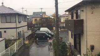 First November snow in tokyo in 50 years