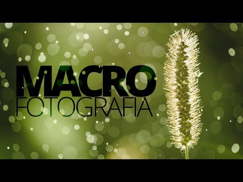 Wideo: Jak Robić Zdjęcia Makro