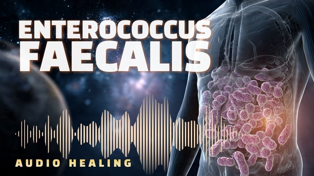 Энтерококк Фекальный 🦠 Биорезонансная терапия | Квантовое выравнивание биополя (БРТ)