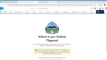 Security Specialist - Data Security : Create a Role Hierarchy (Salesforce Trailhead)