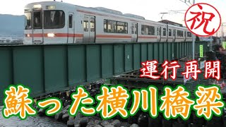 ＪＲ飯田線　伊那新町駅⇔辰野駅　運行再開おめでとう　蘇った横川橋梁