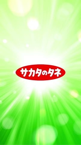 【ハナシのタネ】ブロッコリーは品種がいっぱい！