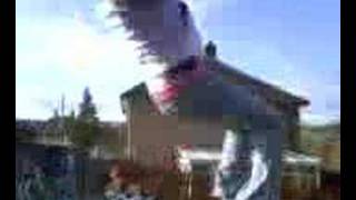Leanne & Emily, Trampoline