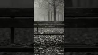 Arafta Kaldım Yar - Kalbe Dokunan Şarkılar Şarkılar Üzünlüşarkılar Şarkılar