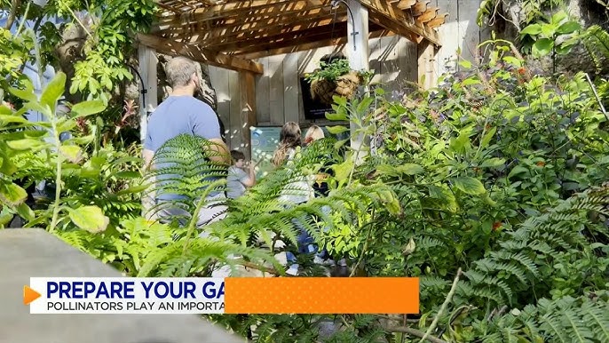 Preparing Your Garden for Pollinators in Fall