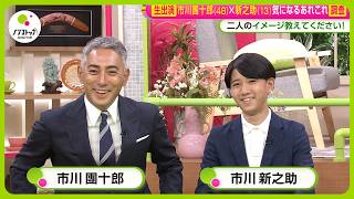 お～い！お茶　入手困難非売品POP　三浦春馬＆市川海老蔵＆中谷美紀＆＆有村架純 市川海老蔵＆中谷美紀＆三浦春馬＆有村架純が豪華4ショット 伊藤園「お