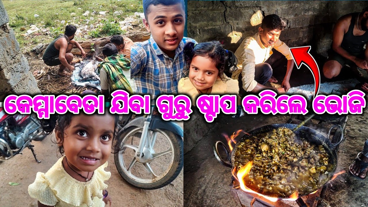 କେମ୍ମାବେଡା ଯିବା ଗୁରୁ ଷ୍ଟାପ କରିଲେ ଭୋଜି//KORAPUTIA DHEMSA 😋😋