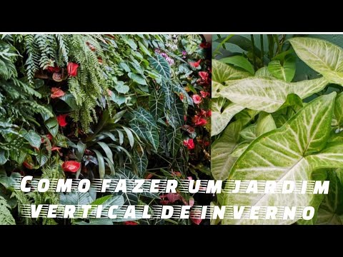 Jardim de inverno  dicas importantes 