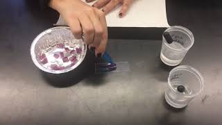 Diffusion through a membrane - Part 2
