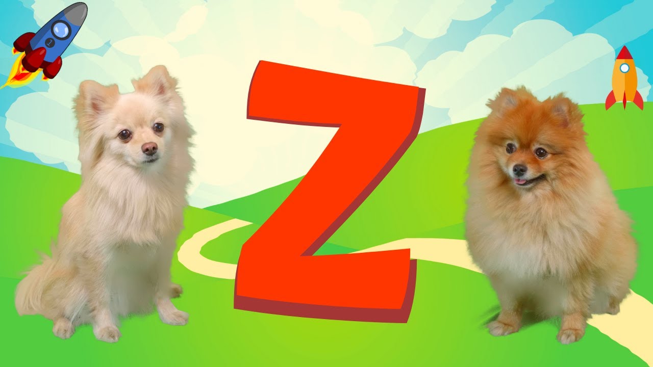 Letter Z | Smart Pets Adventures | Phonics |
