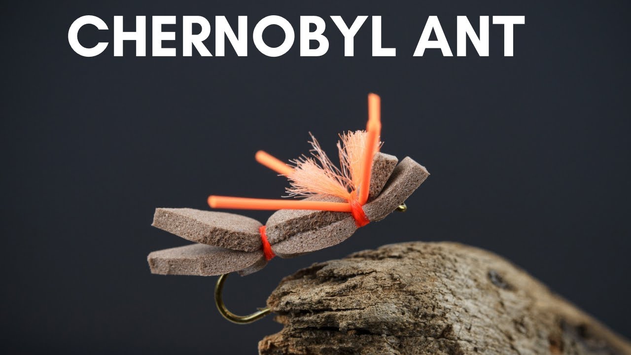 Chernobyl Ant - Variant