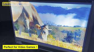 P1 - Projector Screen. Ultra-High Gain Light-Resistant Projection Materials.