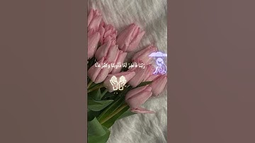 قران كريم 💕💫 #اكسبلور #المصحف #راحة_نفسية #الرحمن #لايك #قرآن