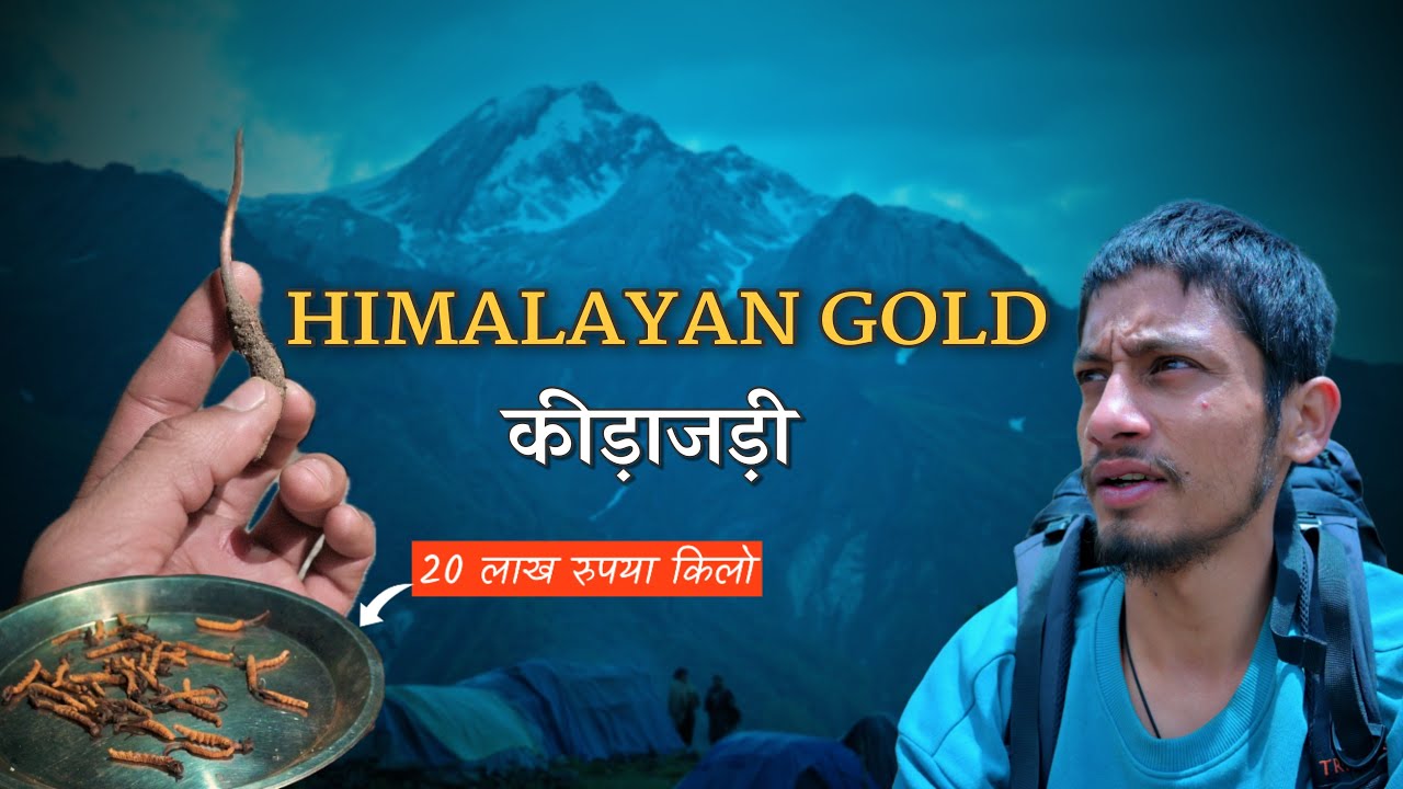 हिमालय में छिपा लाखों का खजाना: Munsyari to Dharchula (Day 4) || Zimba Valley