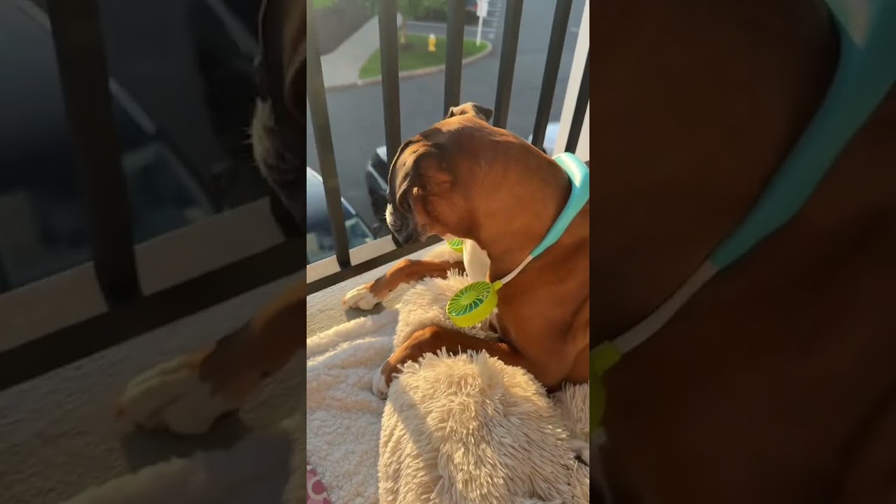 I mean can you possibly blame her 👒