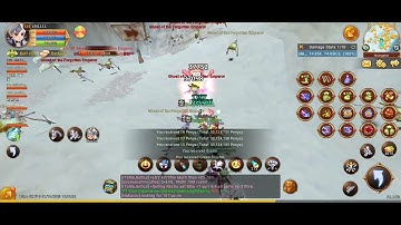 FLYFF UNIVERSE - YOYO JESTER LVL 129