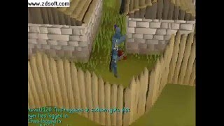 Pest Control Tips
