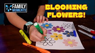 OBJECT LESSON ABOUT WORRY - BLOOMING FLOWERS