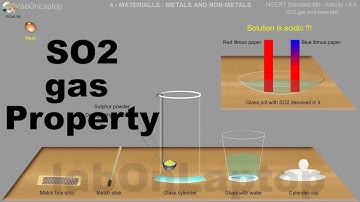 NCERT Class 8th - Activity 4.4 | Metals Non-Metals | SO2 Gas Acid-Base Test | labOnLaptop