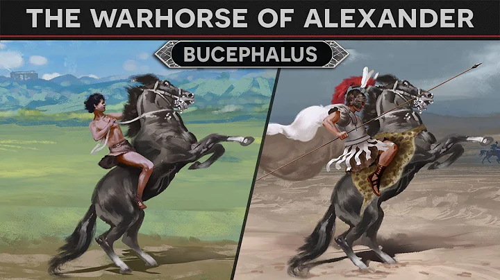 Bucephalus - Warhorse of Alexander the Great DOCUM...