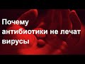 Почему антибиотики бессильны против вирусов