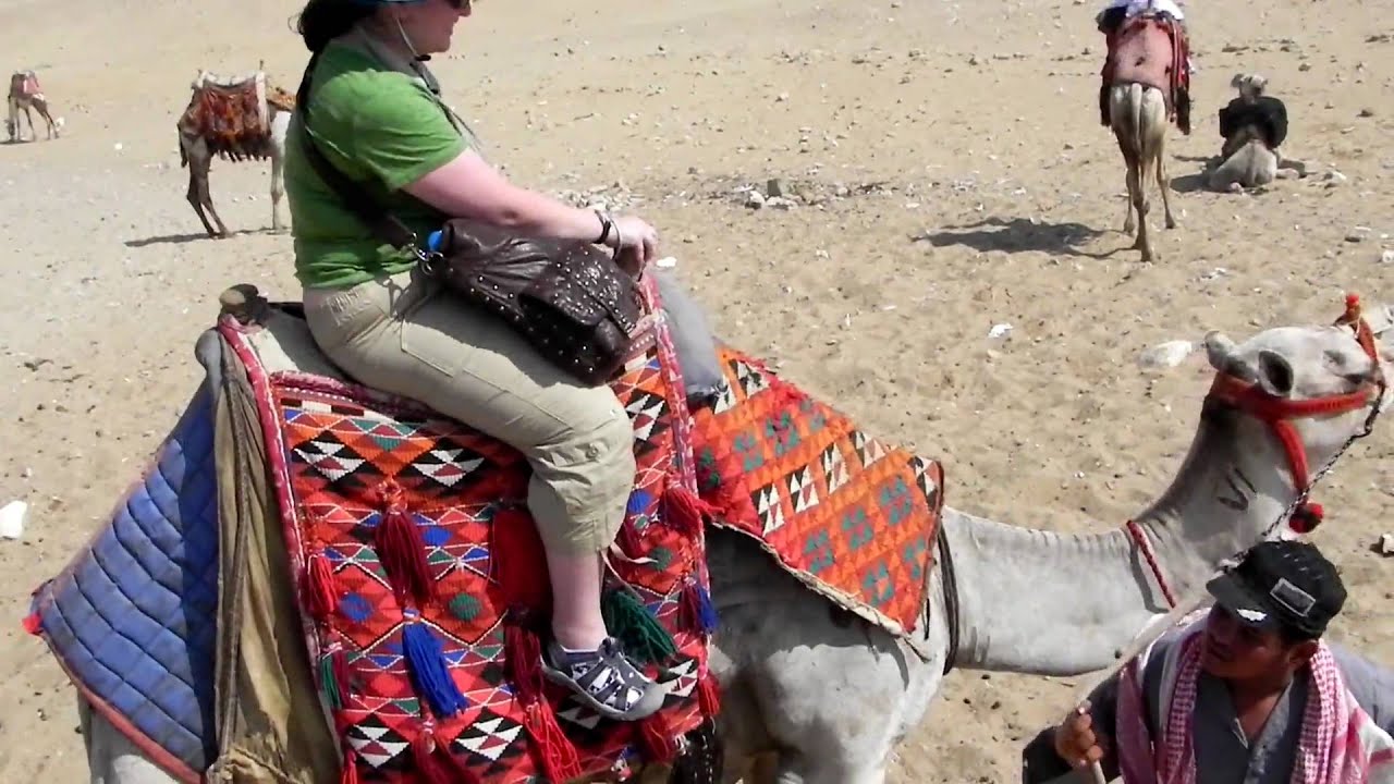 Che getting up on a camel. Cairo 2010 - YouTube