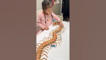 Cô bé làm con rết khổng lồ #shorts
