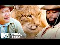 Tim & Darren FACE 2 Dirty (Dirty!) Tortoises & 1 Grumpy Lynx | MTV Animal Style