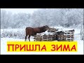 УРА! К НАМ ПРИШЛА ЗИМА! Выпустили коровок / Слепили снеговика