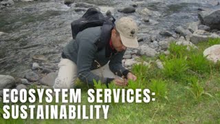 Ecosystem services | Sustainable Use of Ecosystem Services | Miracle Herbal Diversity