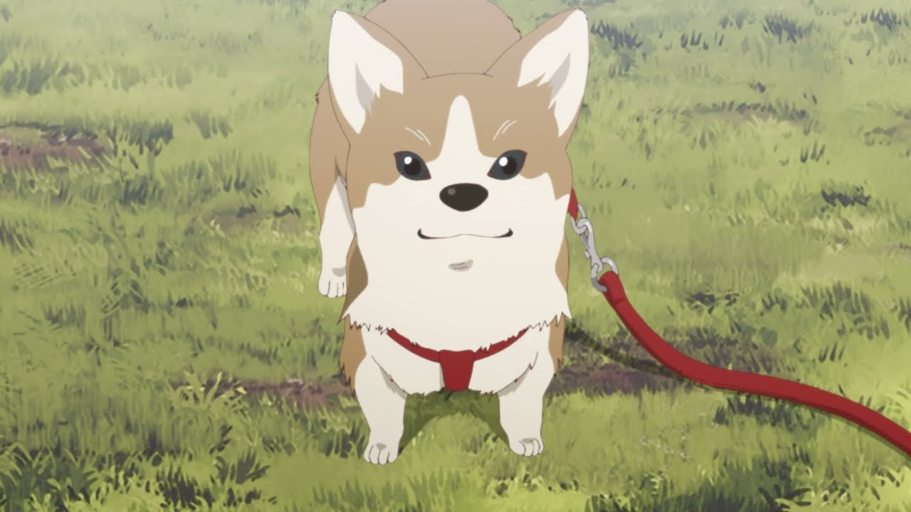 Ichikawa meets Yamadas Dog |  Boku no Kokoro no Yabai Yatsu episode 11