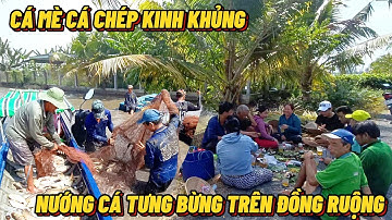 Lũ Về Cá Mè Cá Chép Kinh Khủng Nhất Miền Tây - Tưng Bừng Nướng Cá Trên Đồng#Trungtinhtv