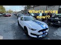 Shelby GT350 Goes to the Body Shop (Before and After)