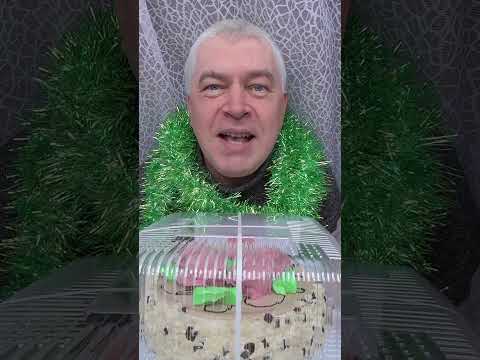 Видео: У меня сегодня день рождения, у меня торт
