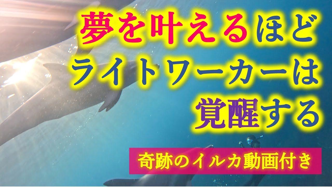 【奇跡のイルカ動画付き！】ライトワーカーが覚醒するために自分の夢を叶えることが大切な理由