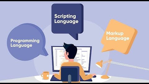 WGU |C173 Scripting And Programing|  BNOS| #WGU ONLINE EDUCATION