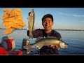 Delicious Summer Walleye CATCH CLEAN COOK! (Surprise Catch)