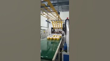 Disposable Soup Bowl Thermoforming Machine with robot stacker，Plastic Thermoforming Machine