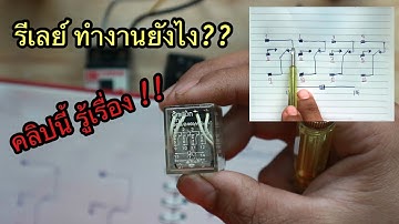 หลักการทำงานของ รีเลย์ สอนละเอียด เข้าใจแน่นอน!