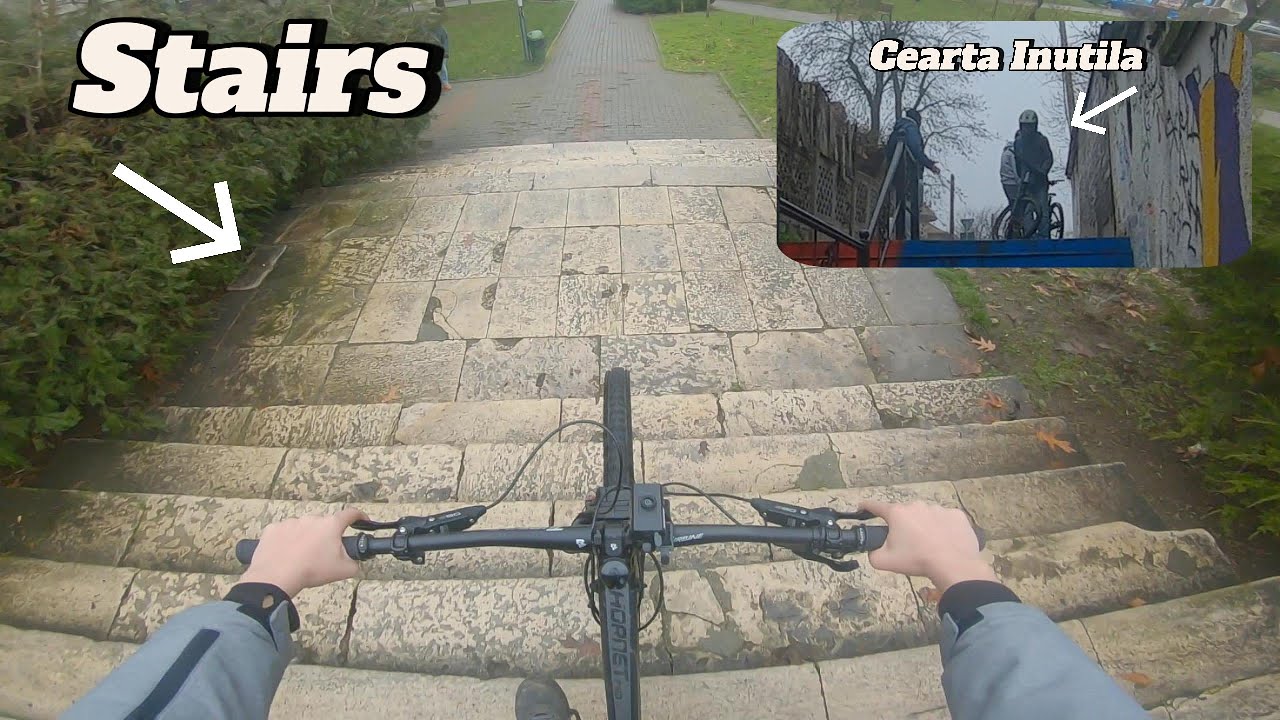 Multe Scari SI Cearta Cu 